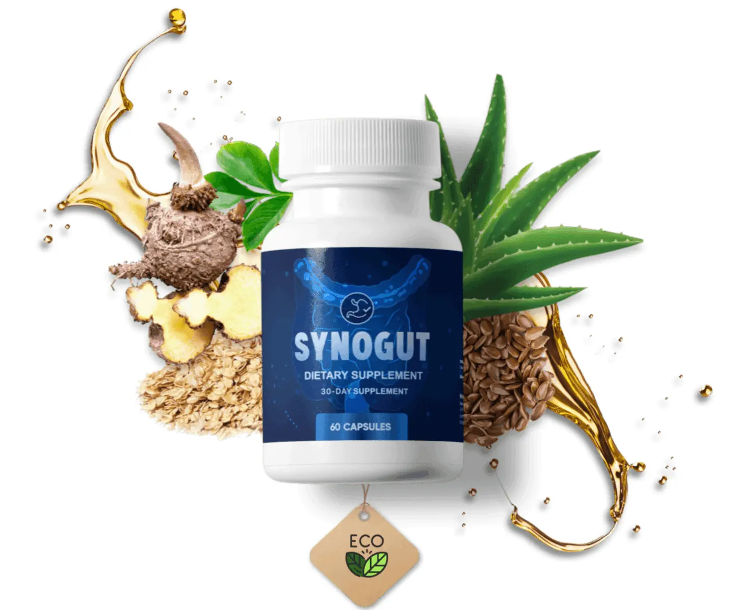 synogut